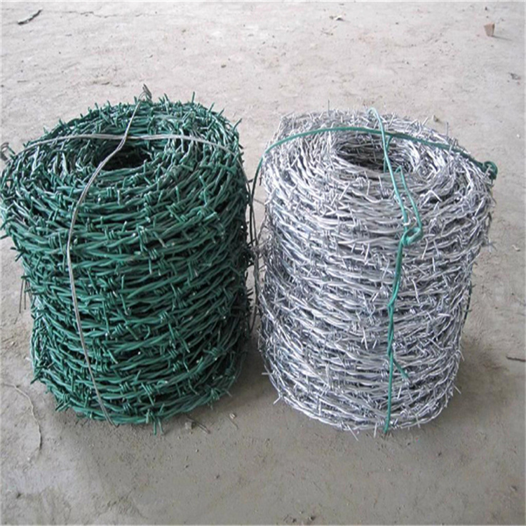 上海刺鐵絲防護(hù)網(wǎng)